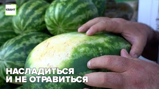 Насладиться и не отравиться