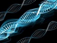 Препарат генной терапии станет самым дорогим лекарством в мире.