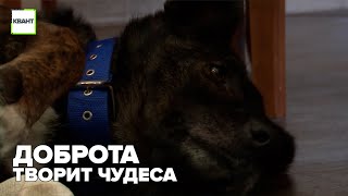 Доброта творит чудеса