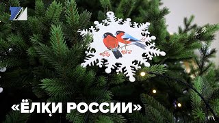 Междуреченск участвует в конкурсе «Ёлки России»