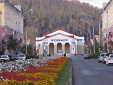 274 тысячи цветов украсят Междуреченск