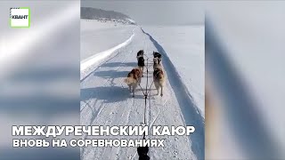 Междуреченский каюр вновь на соревнованиях