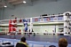 Чемпионат и Первенство Кузбасса по боксу в Междуреченске