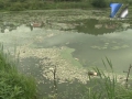 Что стало причиной гибели рыбы в озере в районе «Восхода»
