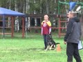 В Междуреченске соревновались одни из сильнейших собак Кузбасса