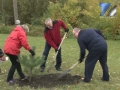 В Кузбассе вновь объявили единый день посадки леса